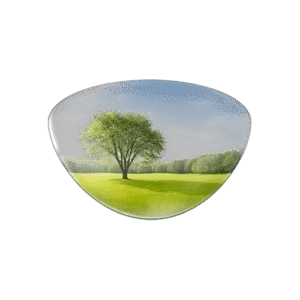 Single Vision Lenses