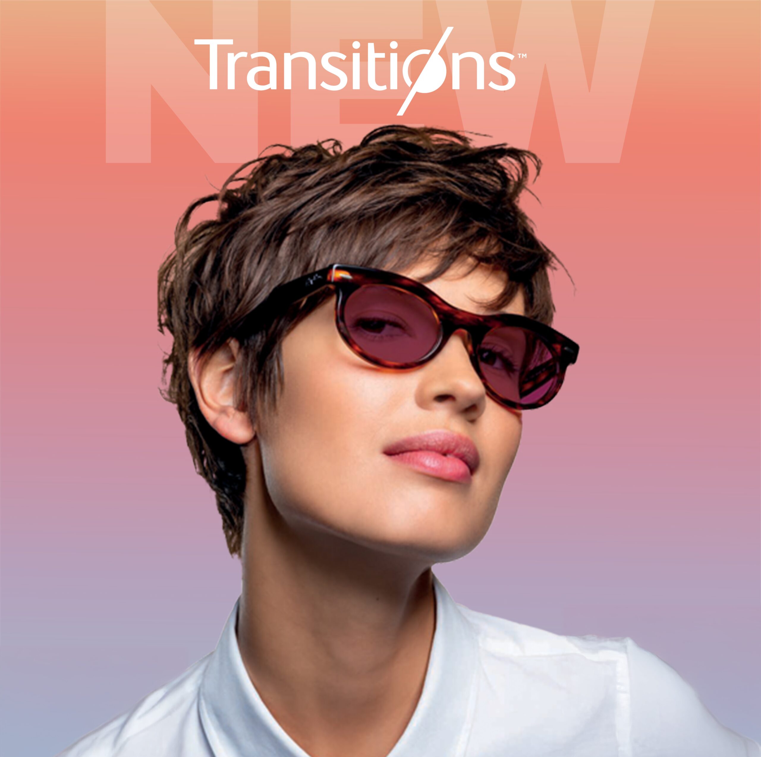 Transitions